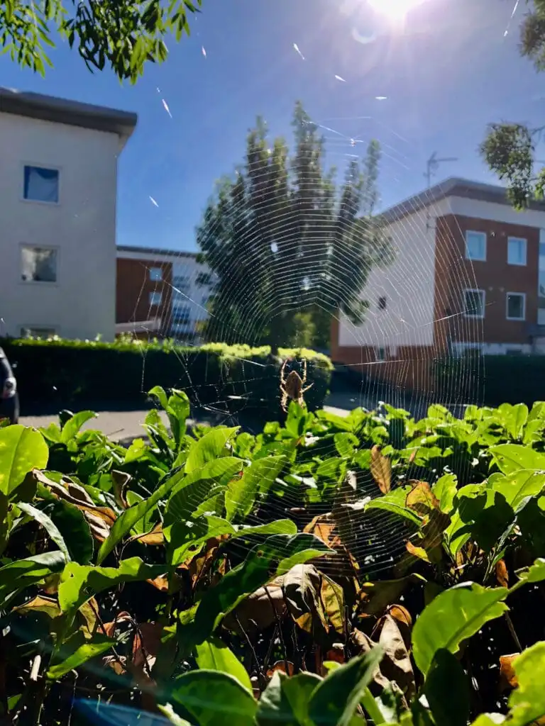 Completed Apartment Renovation at Royal Docks in London