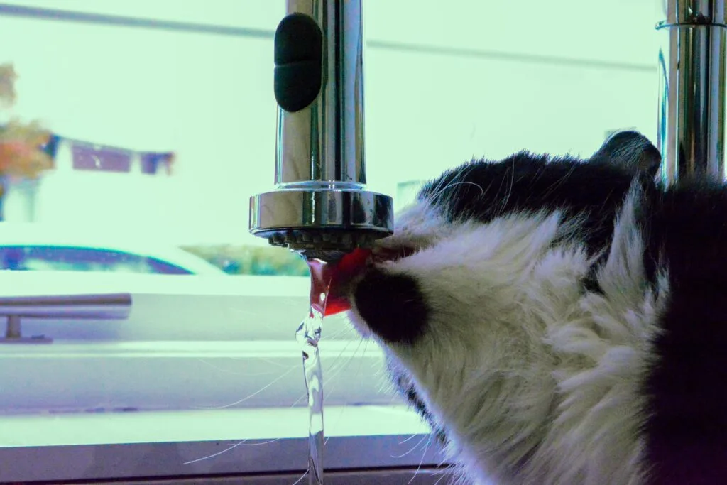 Completed Apartment Renovation at Royal Docks in London