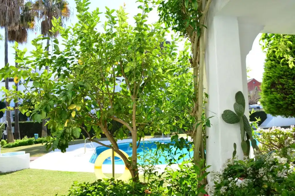 Leaving room viewing