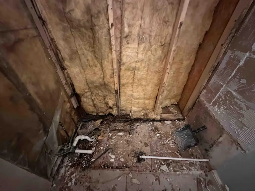 Trendy Bathroom Renovation in Streatham (before)